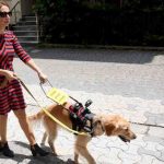 Görme engelli öğretmen, rehber köpeğiyle artık daha özgürce dolaşabiliyor