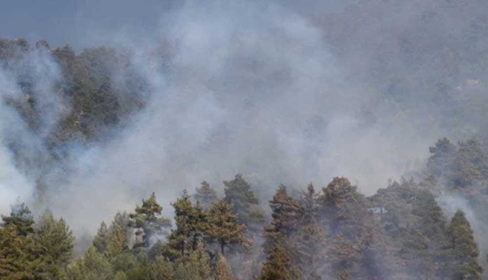 İtalya'nın Sardinya Adası'nda yangın nedeniyle 1500'den fazla kişi tahliye edildi 4 İtalya'nın-Sardinya-Adası'ndaki-yangın-nedeniyle-1500'den-fazla-kişi-tahliye-edildi