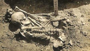 Japonya'da bulunan 3000 yıllık iskelet, bilinen en eski köpek balığı kurbanı olarak kayda geçti