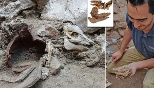Kudüs’te 2 bin 700 yıllık domuz iskeletine rastlandı