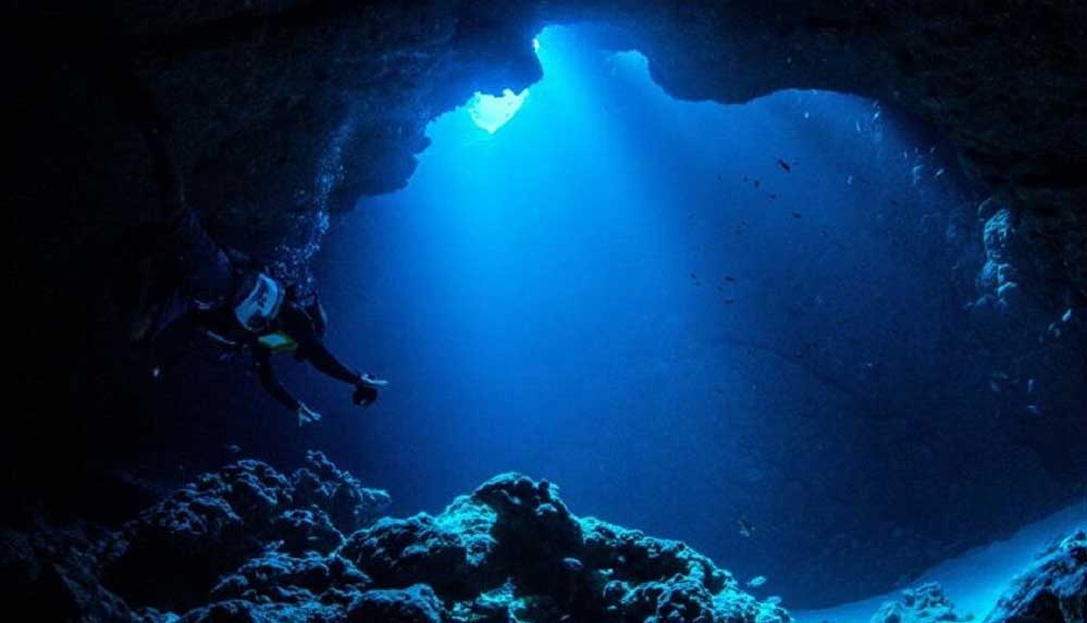 Mariana Çukuru’nun dibinde devasa virüs kolonisi bulundu 4 Mariana-Çukuru’nun-dibinde-devasa-virüs-kümeleri-bulundu