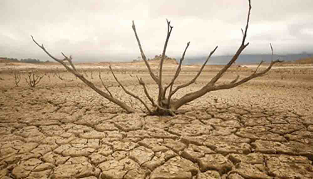 Murat Ağırel Geç kalıyoruz, yolun sonuna geldik; Türkiye acilen yağmur hasadı ile ilgili çalışmaları yapmalı