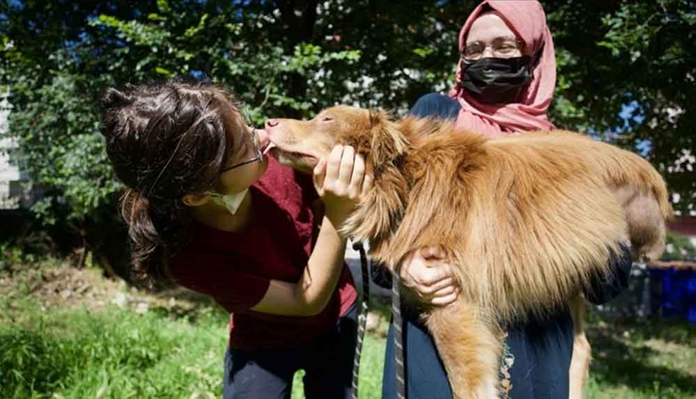 Otomobilin-çarptığı-köpeği-sevgileriyle-yaşama-bağladılar