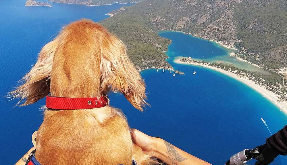 Ölüdeniz'in eşsiz manzarasında köpeği 'Yager' ile yamaç paraşütü yaptı