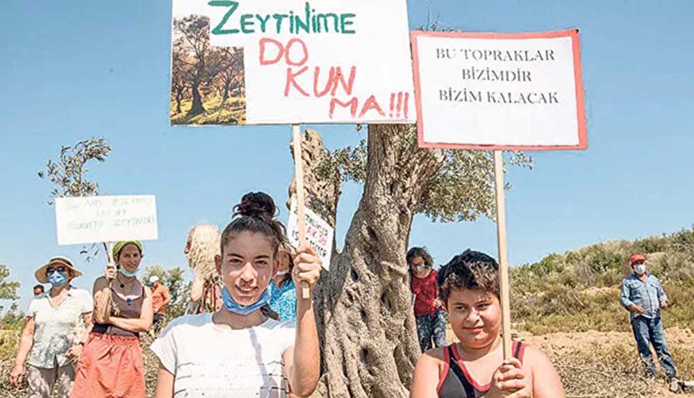 Seferihisar'da-'Asırlık-zeytinlikleri-kesmeyin'-nöbeti