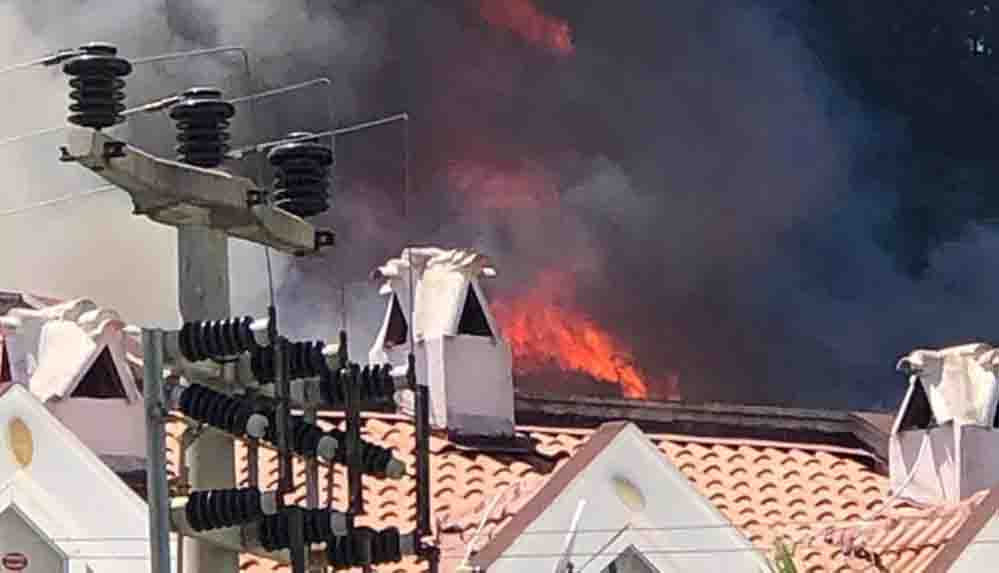 Son Dakika... Marmaris'te orman yangını