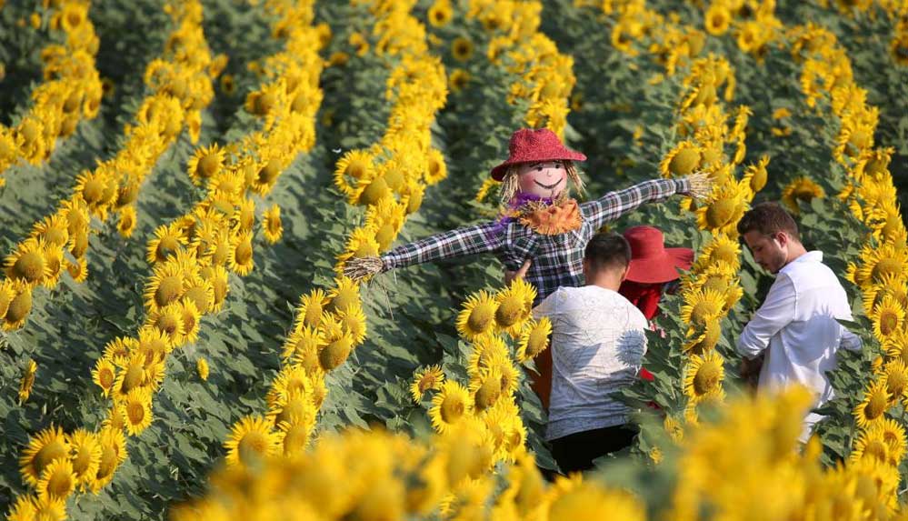 Tarımsal ürünleri köylerini tanıtmak için kullanan Kuştepeliler korkuluk festivaline hazırlanıyor
