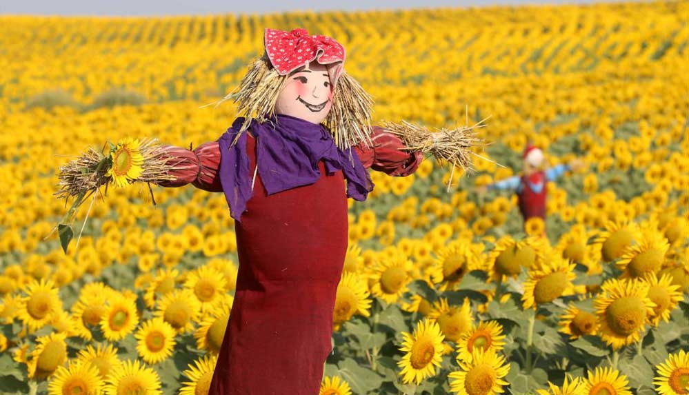 Tarımsal ürünleri köylerini tanıtmak için kullanan Kuştepeliler korkuluk festivaline hazırlanıyor