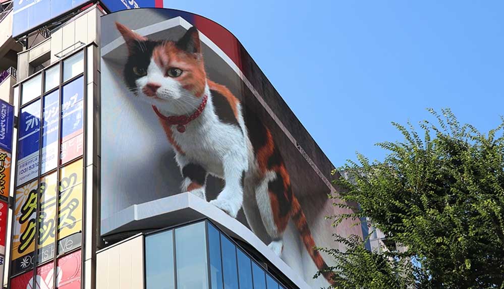 Tokyo'nun-yeni-misafiri-3D-kedi,-şehri-izliyor-ve-halkı-selamlıyor