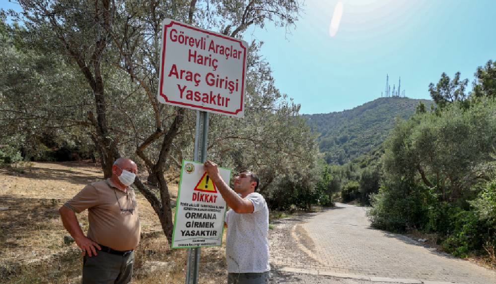 Türkiye'nin dört bir yanında ormanlara girişler yasaklanıyor
