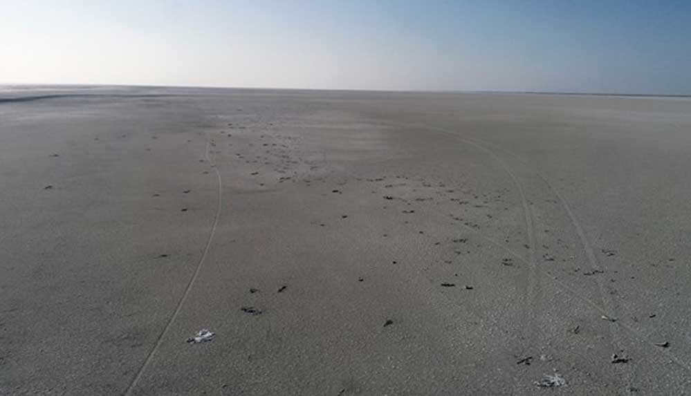 Tuz Gölü için yeni uyarı: Ölümlerden sonra flamingolar göle gelmeyebilir