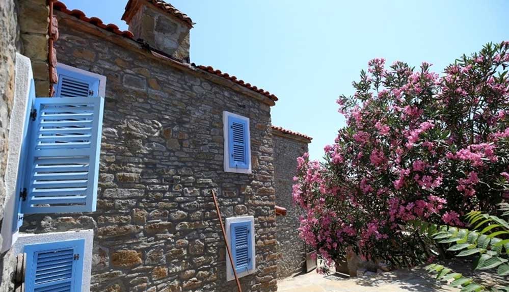 Türkiye'nin-en-büyük-adası-sağlıklı-beslenmeyi-tercih-edenlerin-yeni-adresi-olacak