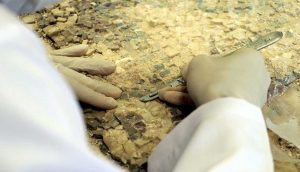 Üzüm hasadı temalı tarihi mozaik Hatay Arkeoloji Müzesi'nde sergilenecek