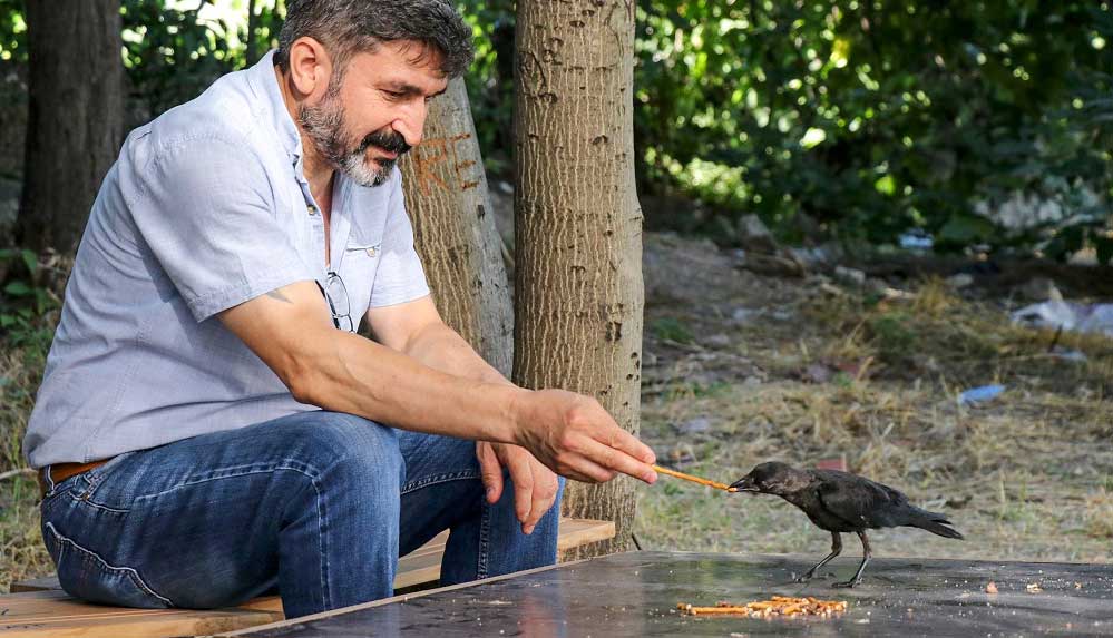 Yolda-bulduğu-yavru-karga-ile-dostluğu-görenleri-şaşırtıyor-2