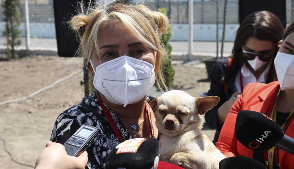 Yonca Evcimik, ses telleri alınmış köpeği sahiplendi: "O artık benim köpeğim, can dostum. Bulduk birbirimizi" 4 Yonca-Evcimik,-ses-telleri-alınmış-köpeği-sahiplendi--'O-artık-benim-köpeğim,-can-dostum.-Bulduk-birbirimizi'