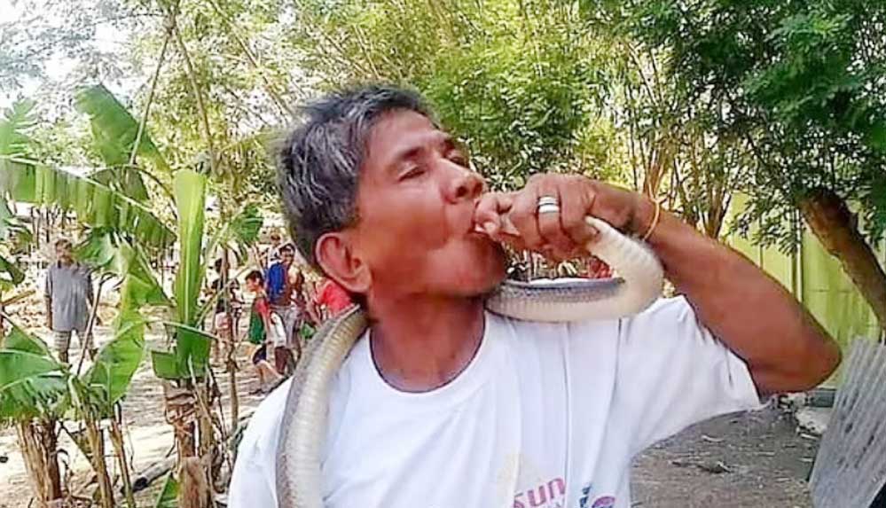Yılan uzmanı "zehre bağışıklığım var" dedi, kobrayı öpmeye çalışırken öldü