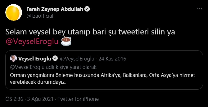 Farah Zeynep Abdullah'tan eski bakana tepki: 'Bari utanıp silin şunları ya'