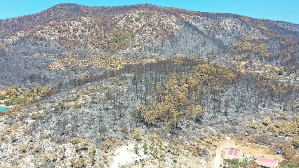 Bodrum ve Milas'ta yanan ormanlık alanlar havadan görüntülendi 3 Bodrum ve Milas'ta yanan ormanlık alanlar havadan görüntülendi