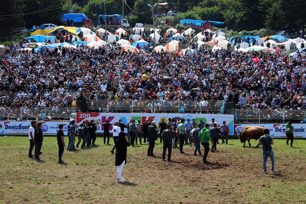 Artvin'de 40. Kafkasör Kültür, Turizm ve Sanat Festivali sona erdi