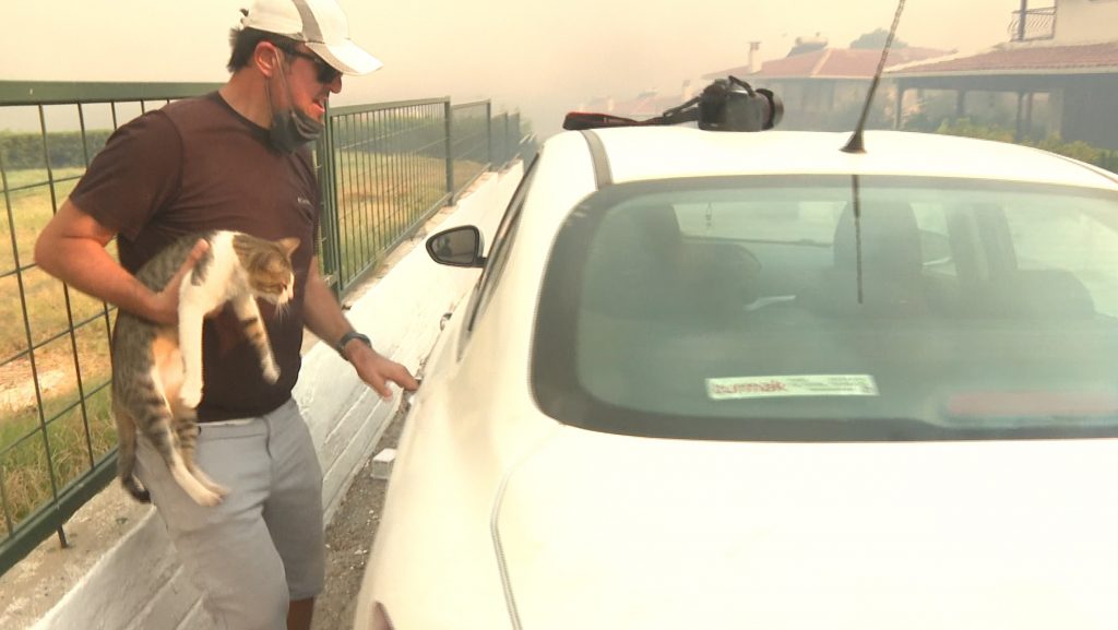Alevlerin sardığı sitede mahsur kalan kedi bir gazeteci tarafından kurtarıldı