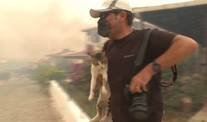 Alevlerin sardığı sitede mahsur kalan kedi bir gazeteci tarafından kurtarıldı