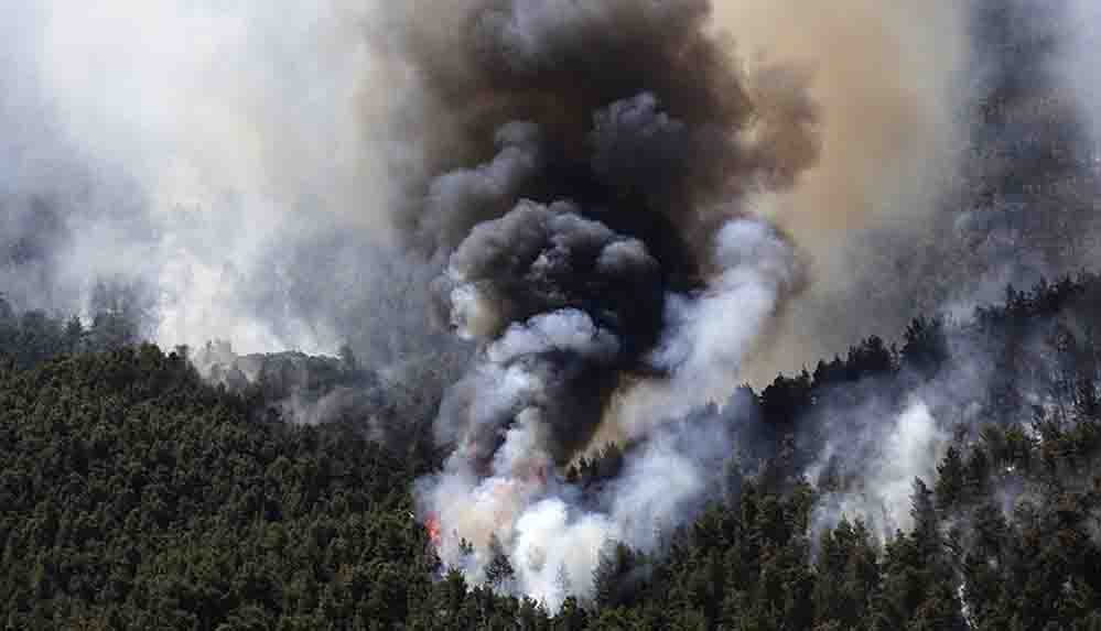Atina yakınlarında devam eden orman yangınlarında 80-90 bin dönüm arazi kül oldu