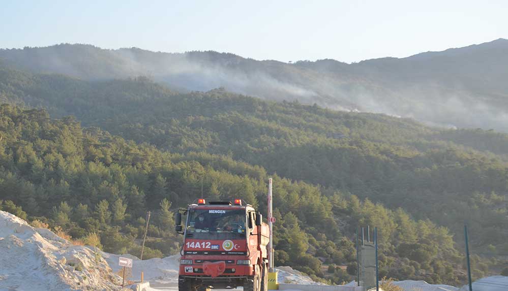 Aydın'da ormanlık alanda çıkan yangın nedeniyle 1 mahalle tahliye edildi