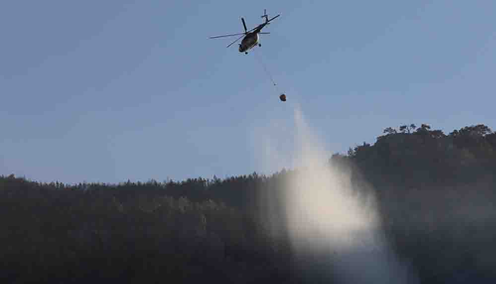 Aydın'daki orman yangınını söndürme çalışmaları sürüyor