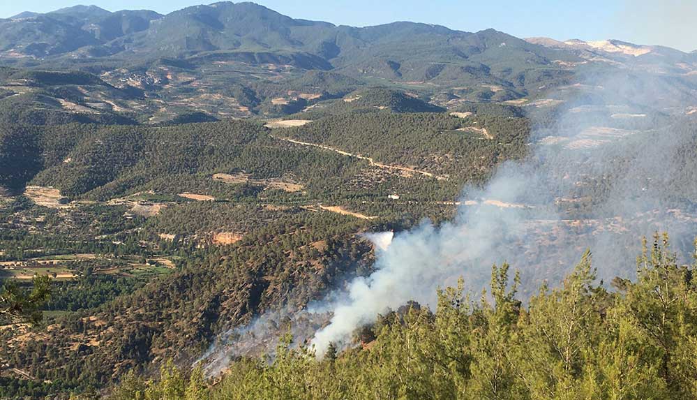 Aydın'ın-Bozdoğan-ilçesinde-orman-yangını-çıktı