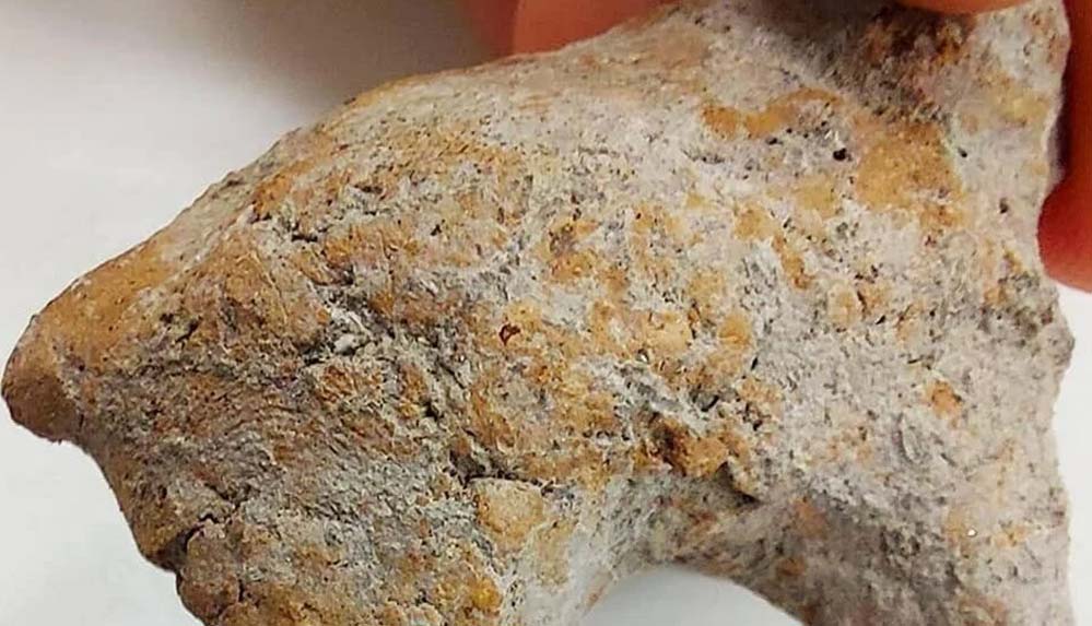 Bilecik'te 9 bin yıllık parmak izine rastlandı