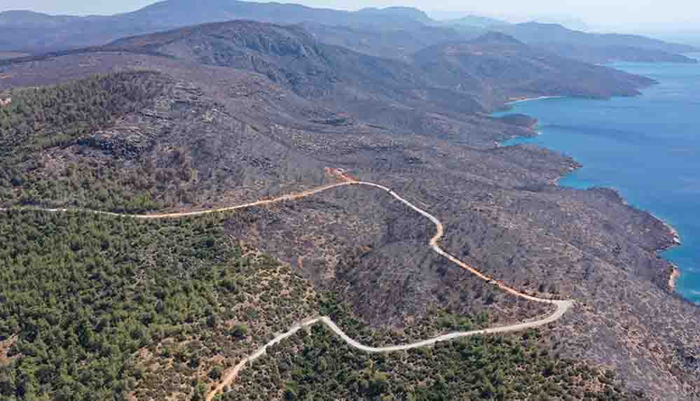 Bodrum ve Milas'ta yanan ormanlık alanlar havadan görüntülendi