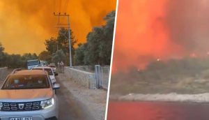 Bodrum'da yangın büyüyor, Belediye Başkanı Aras: "Artık ne yapacağımızı şaşırdık"