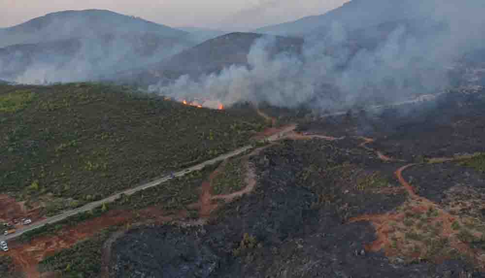 Bodrum'daki orman yangınını söndürme çalışmaları devam ediyor