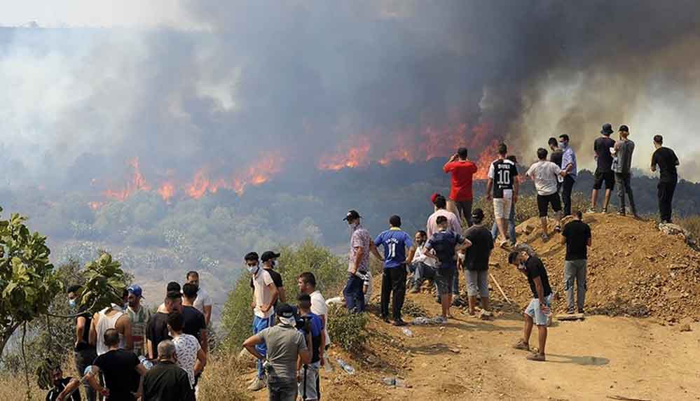 Cezayir Genelkurmay Başkanı Şangariha'dan, ülkedeki orman yangınlarıyla ilgili "komplo" açıklaması