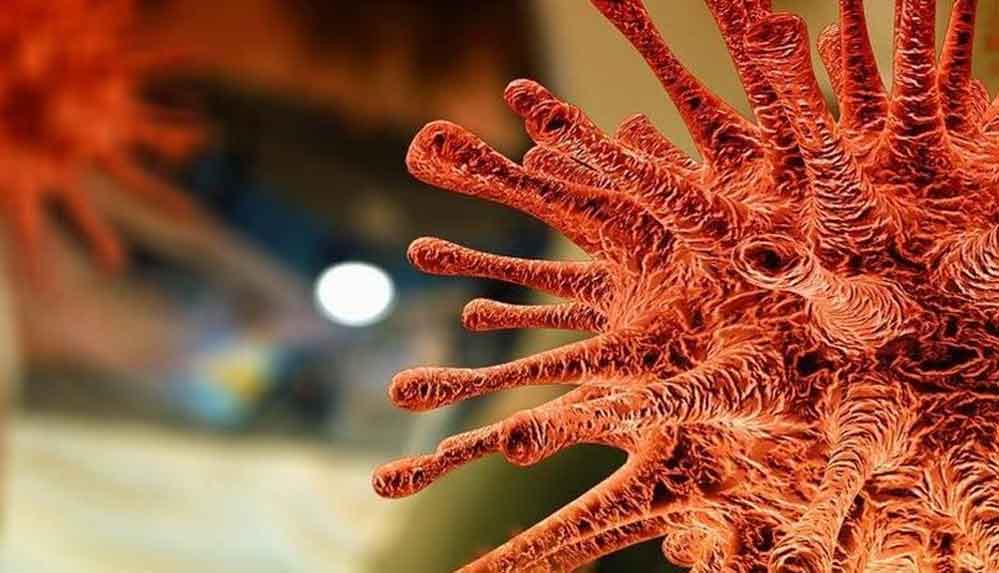 DSÖ,-Kovid-19'un-kökenine-ilişkin-yeni-araştırma-ekibi-kurdu