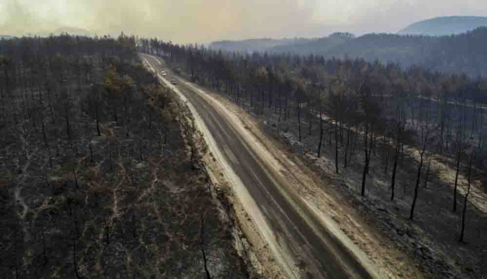 Doç. Dr. Acar: İklim krizi yangınların söndürülmesini zorlaştırıyor