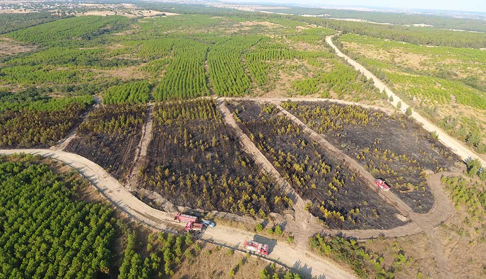 Edirne'de yanan ATV orman yangınına neden oldu