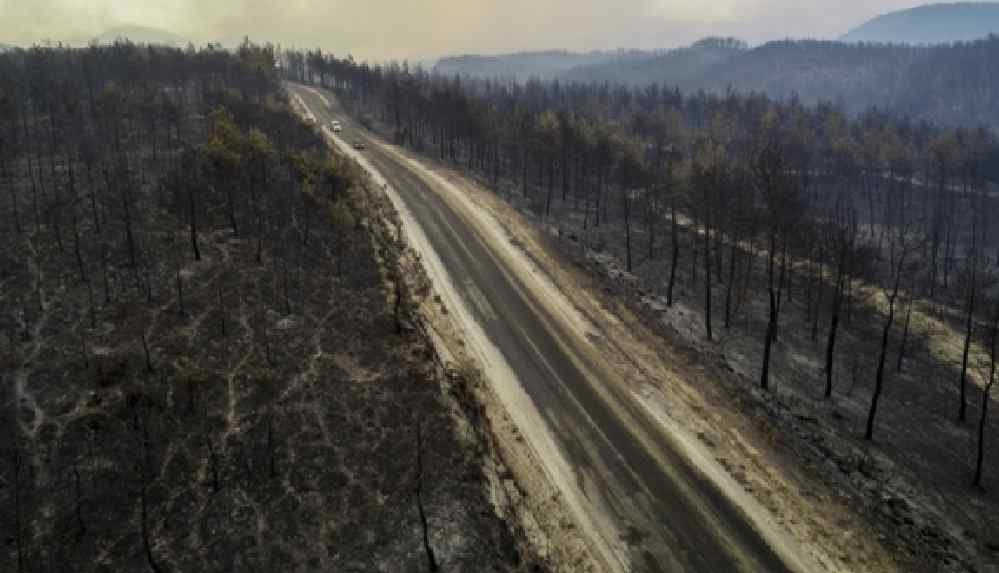 Fırsatçılar iş başında! Yanan tarlaları satışa çıkardılar