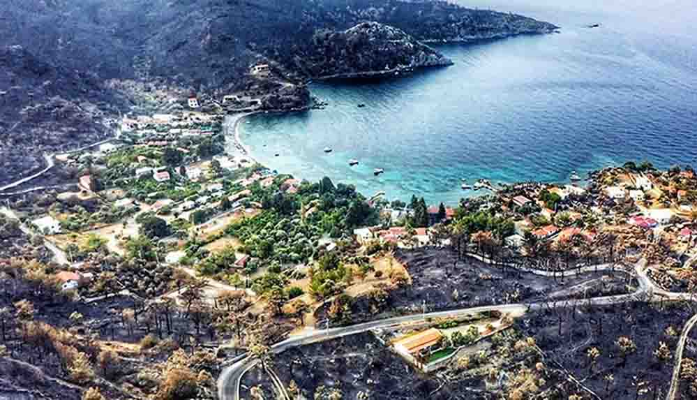 Gökova'nın yeşili siyaha döndü