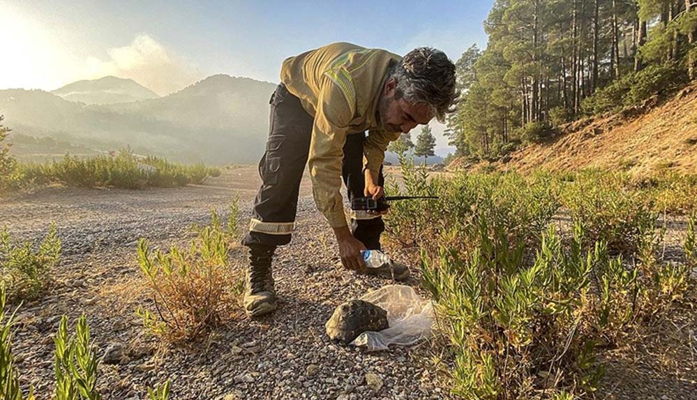 Gündoğmuş'taki-yangında-mahsur-kalan-kaplumbağayı-orman-işçileri-kurtardı