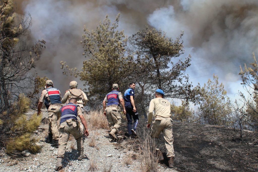 Hatay'da orman yangını