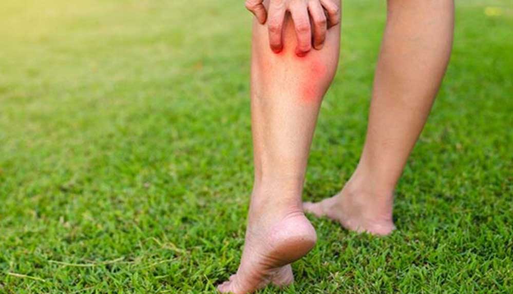 İlk-anda-neler-yapmalı,-nelerden-kaçınmal