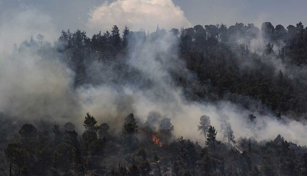 İsrail, Batı Kudüs’teki ormanlık alanda çıkan yangınlar nedeniyle uluslararası yardım istedi