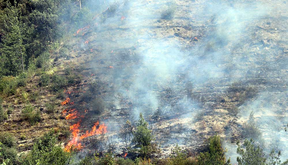 Karabük'te ormanlık alanda yangın çıktı