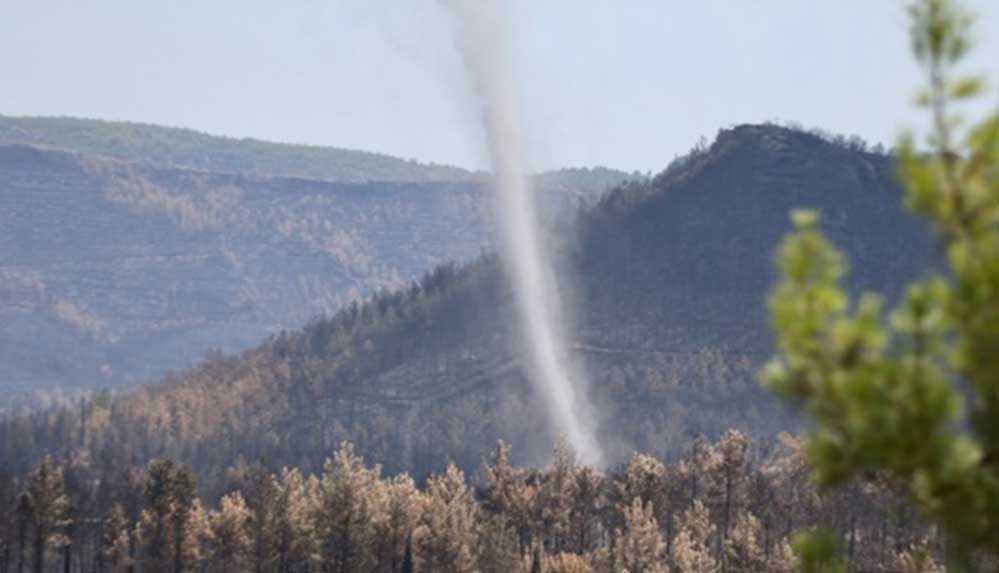 Manavgat'ta ormanı yakarken suçüstü yakalanan zanlı tutuklandı