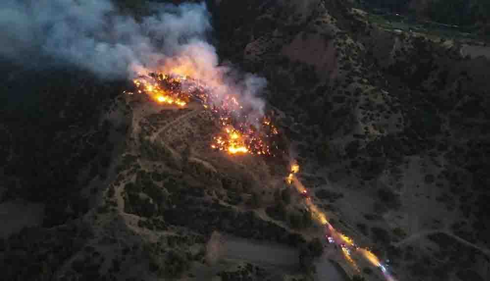 Manisa'da çıkan orman yangınında 10 dönüm alan zarar gördü