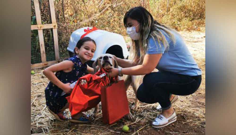 Marmaris'teki-yangında-köpeğinin-kulübesi-yanan-çocuğun-dileğini-Kaymakamlık-gerçekleştirdi