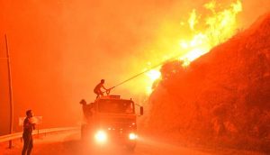 Milas'ta yangın Yeniköy Termik Santrali'ne doğru ilerliyor: Gürceğiz ve Bayır mahalleleri tahliye ediliyor