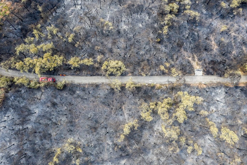 Heybeliada'da yangın nedeniyle zarar gören alan havadan görüntülendi