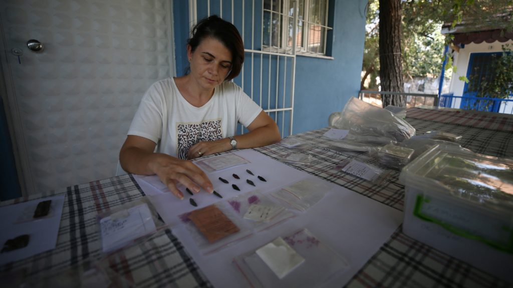 Daskyleion'da bulunan ok uçları dönemin savaş ve avcılık tarihine ışık tutuyor